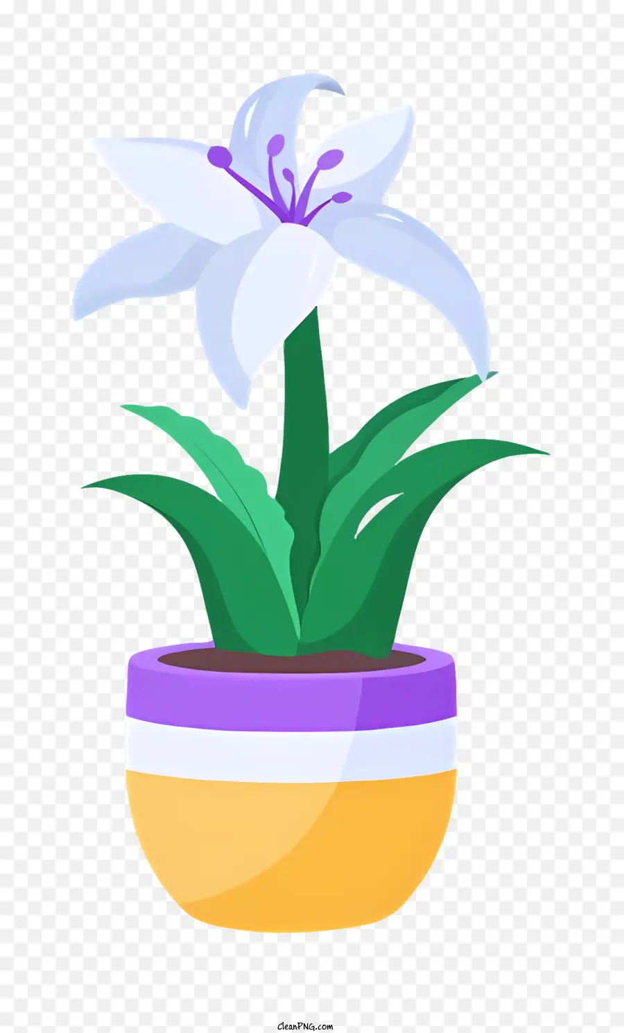 цветок белая лилия，горшечные растения PNG