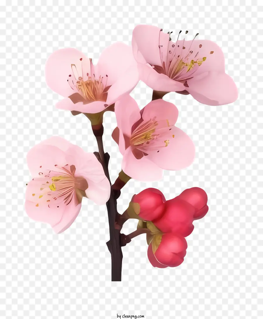 мультфильм，Розовые цветы PNG