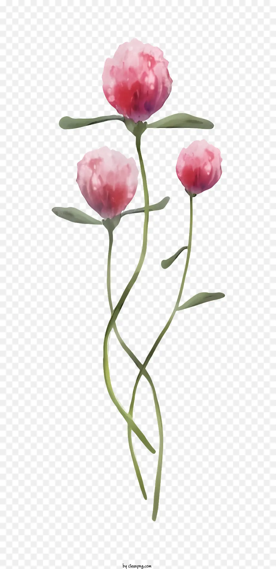 цветок，розовые лепестки PNG