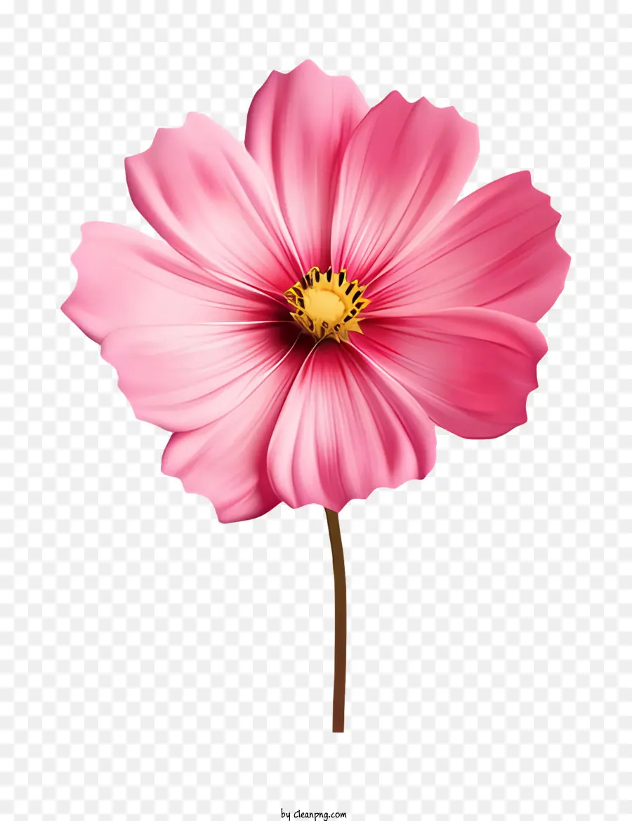 мультфильм，розовый цветок PNG