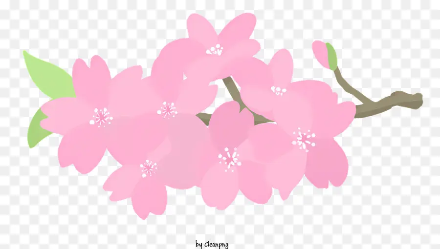 Розовый цветочный ветвь，Маленькие розовые цветы PNG