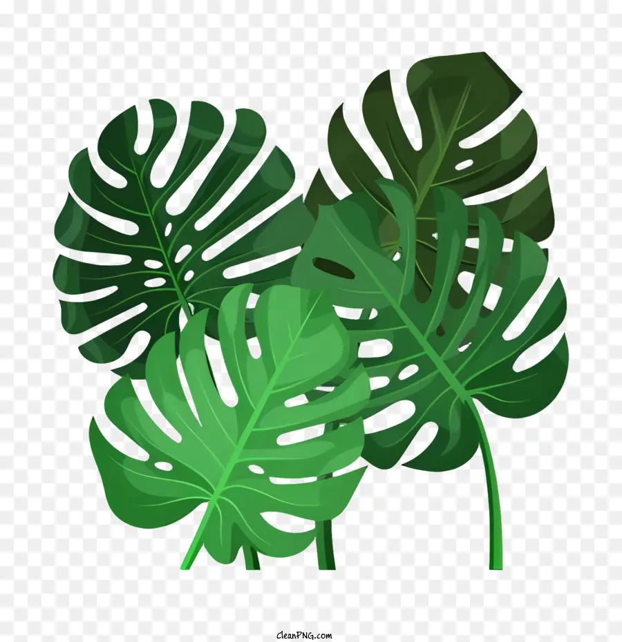 мультфильм，зеленые листья PNG