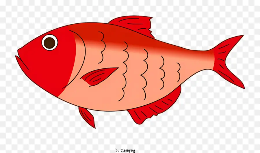 красная рыба，Большая рыба PNG