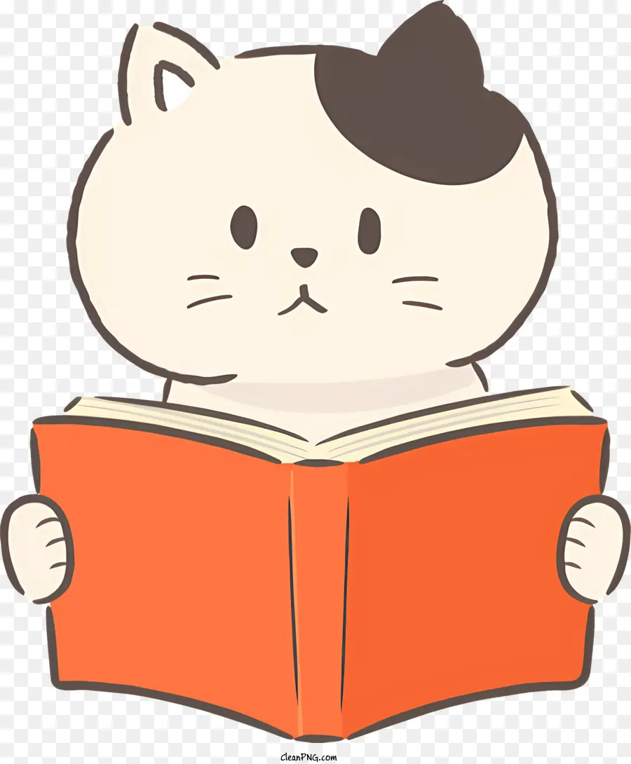 Книга для чтения кошек，мультфильм кот PNG
