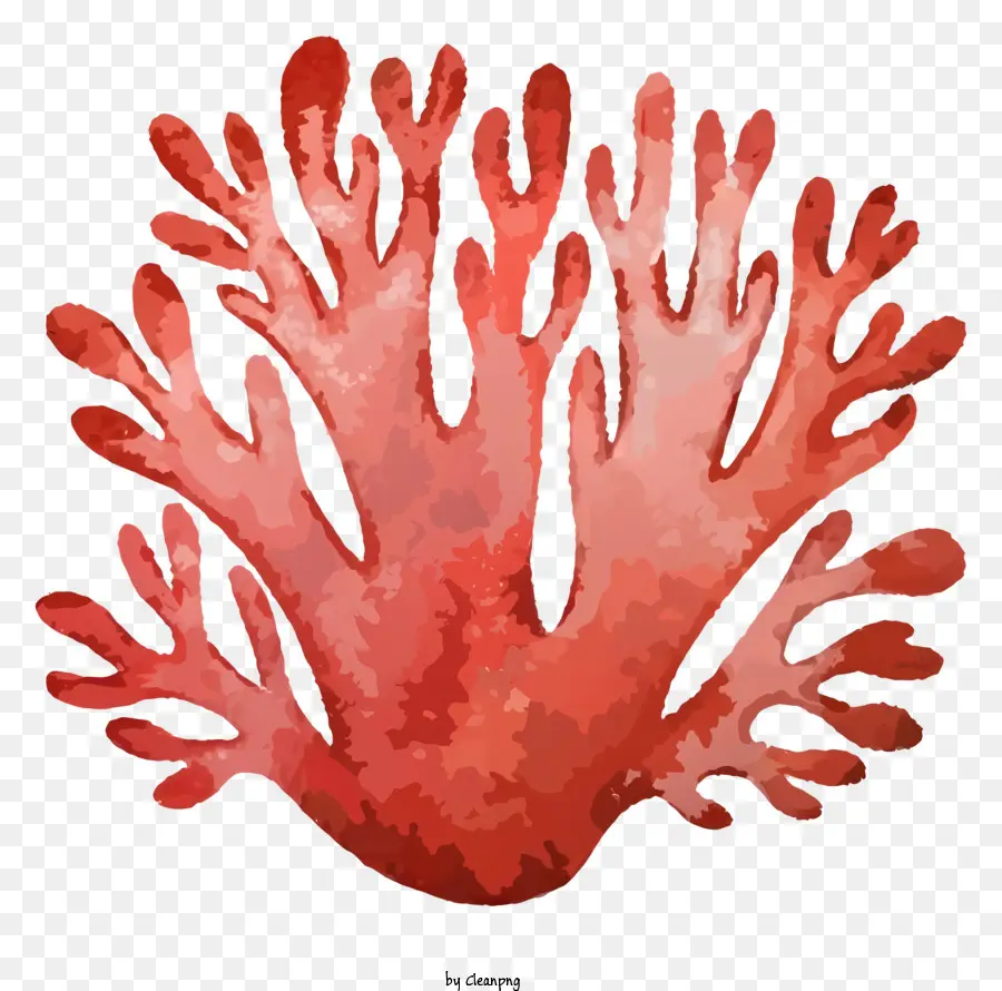 мультфильм，Красный Коралл PNG