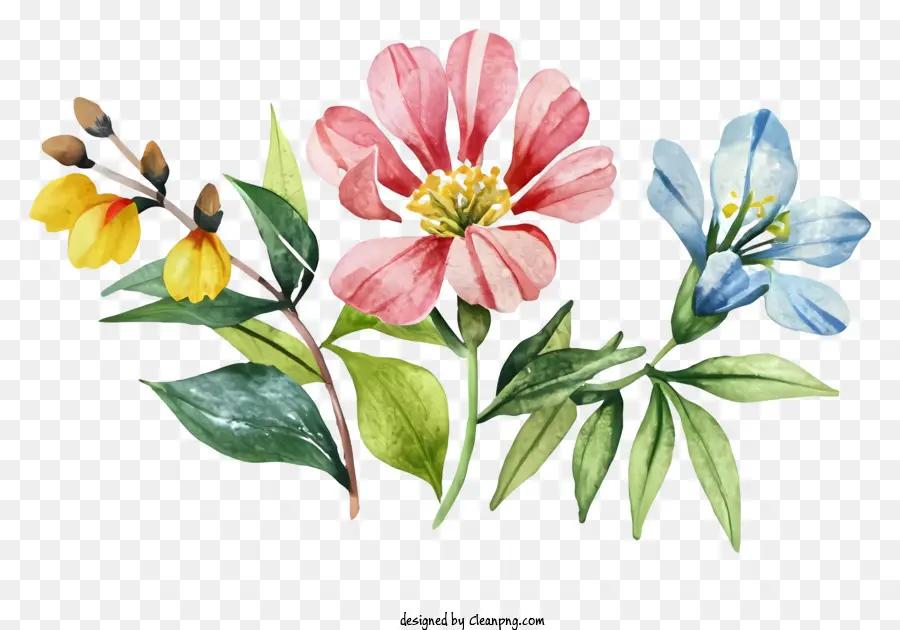 мультфильм，Красочные цветы PNG