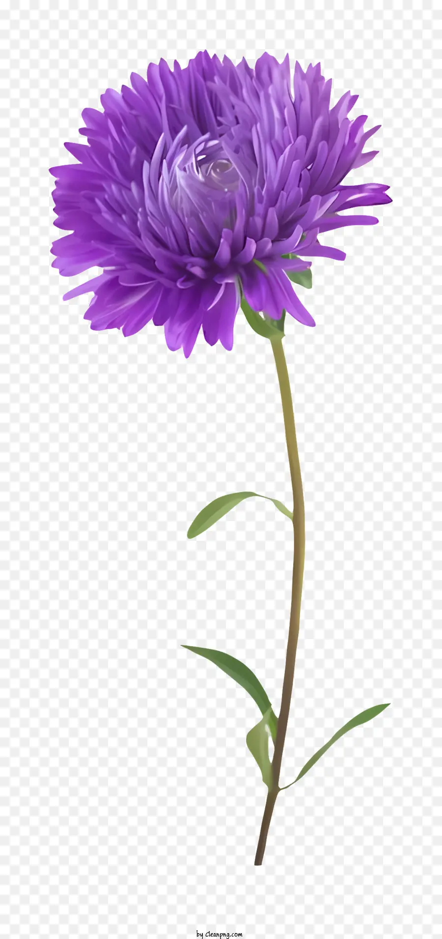 крест，фиолетовый цветок PNG