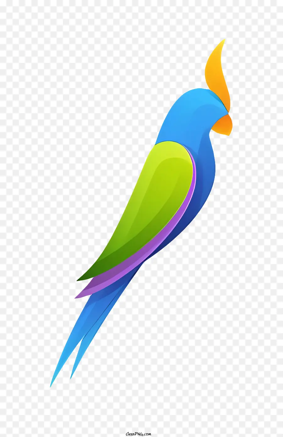 красочный попугай，экзотические птицы PNG