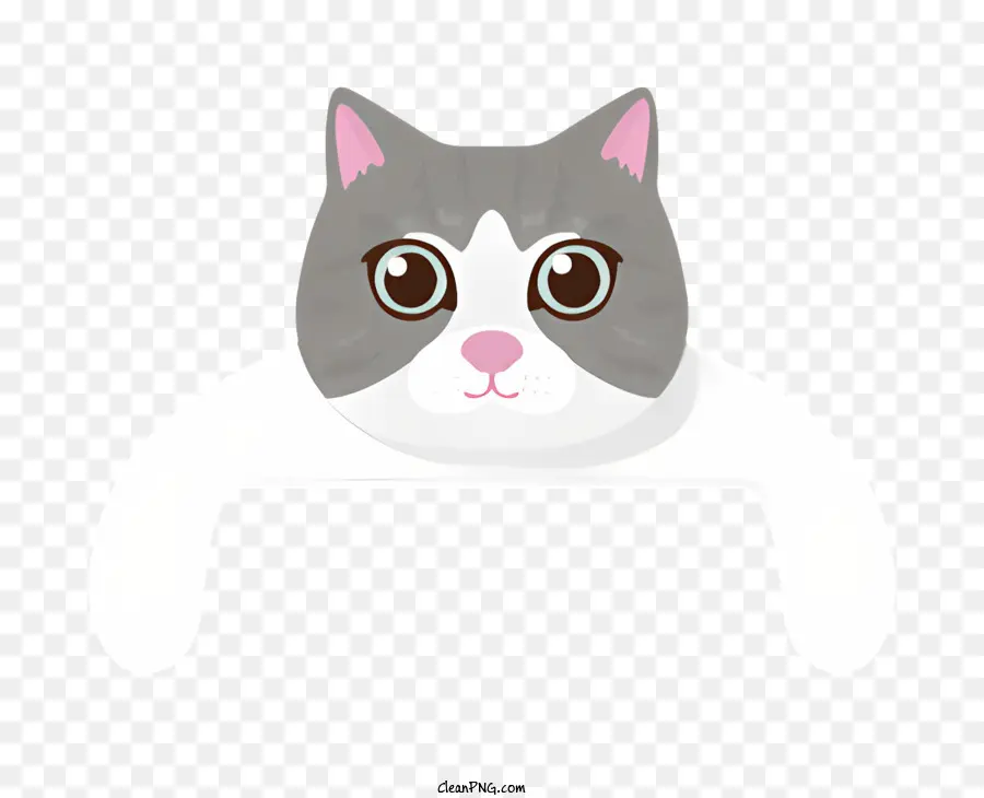 серый и белый кот，кошка изображение PNG