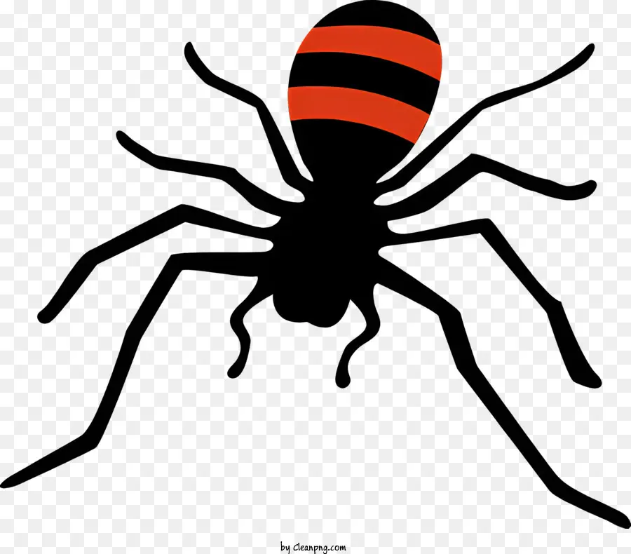 черный паук，оранжевая полоса PNG