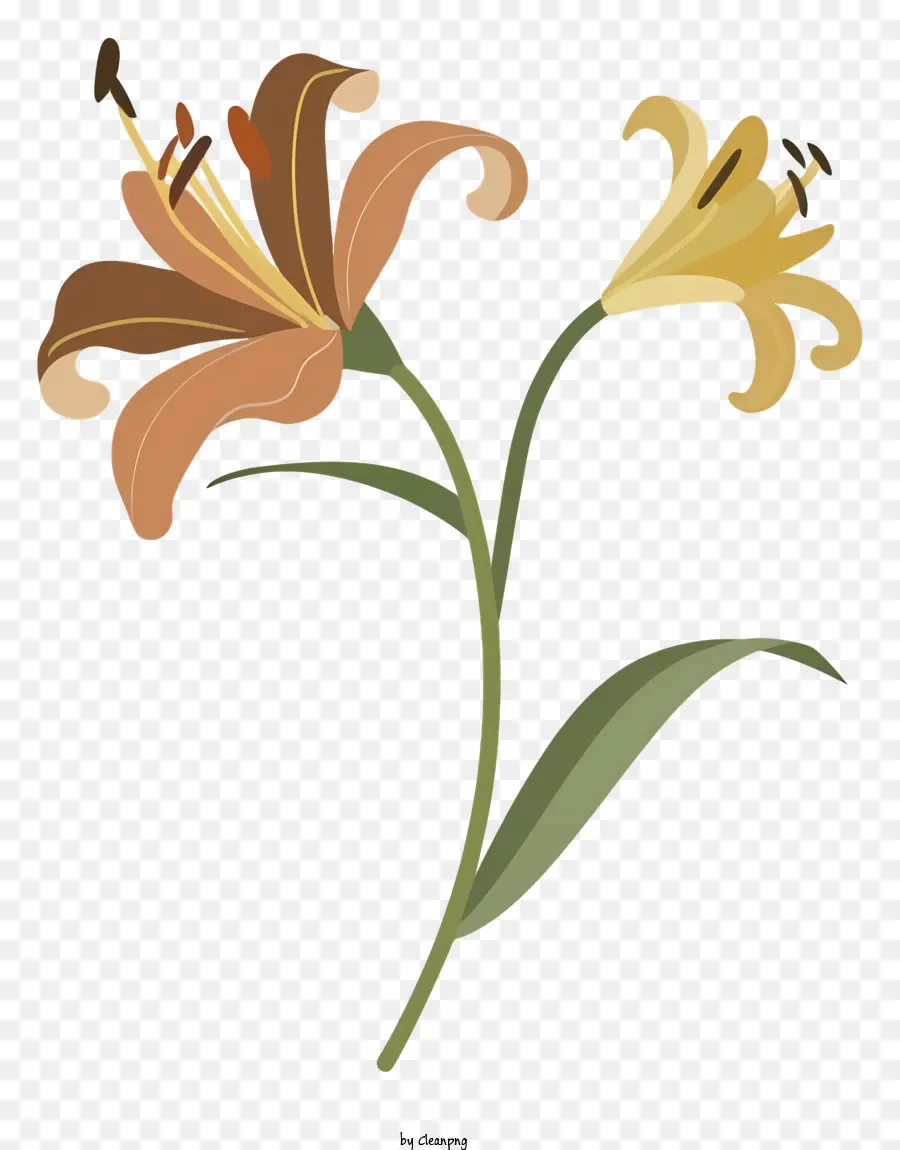 мультфильм，коричневые лилии PNG