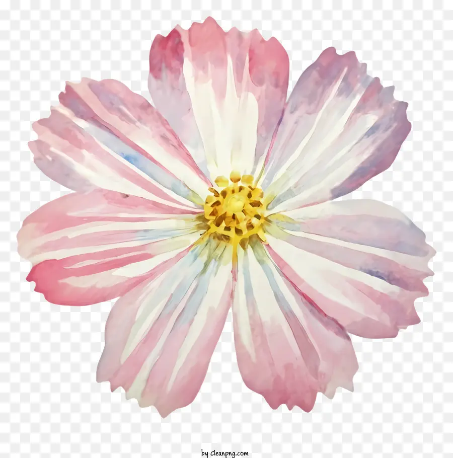 мультфильм，розовый акварельный цветок PNG