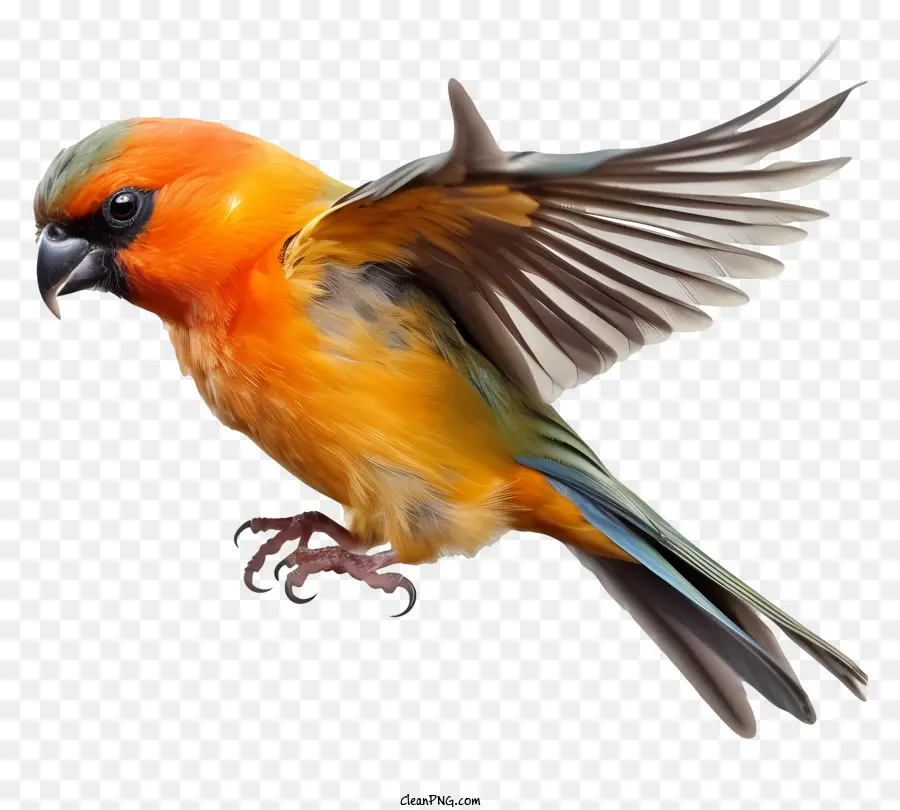 Реалистичная 3d птица，большая птица PNG