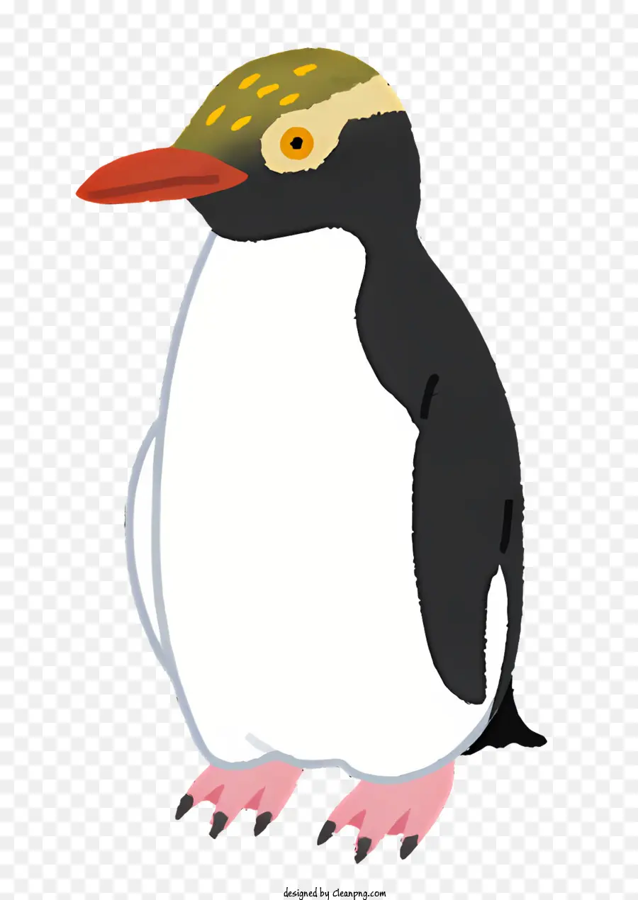 природа，Пингвин стоит PNG