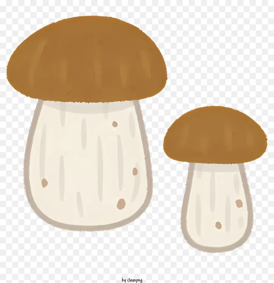 природа，грибы PNG