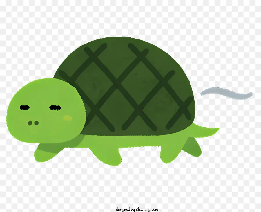 природа，зеленая черепаха PNG