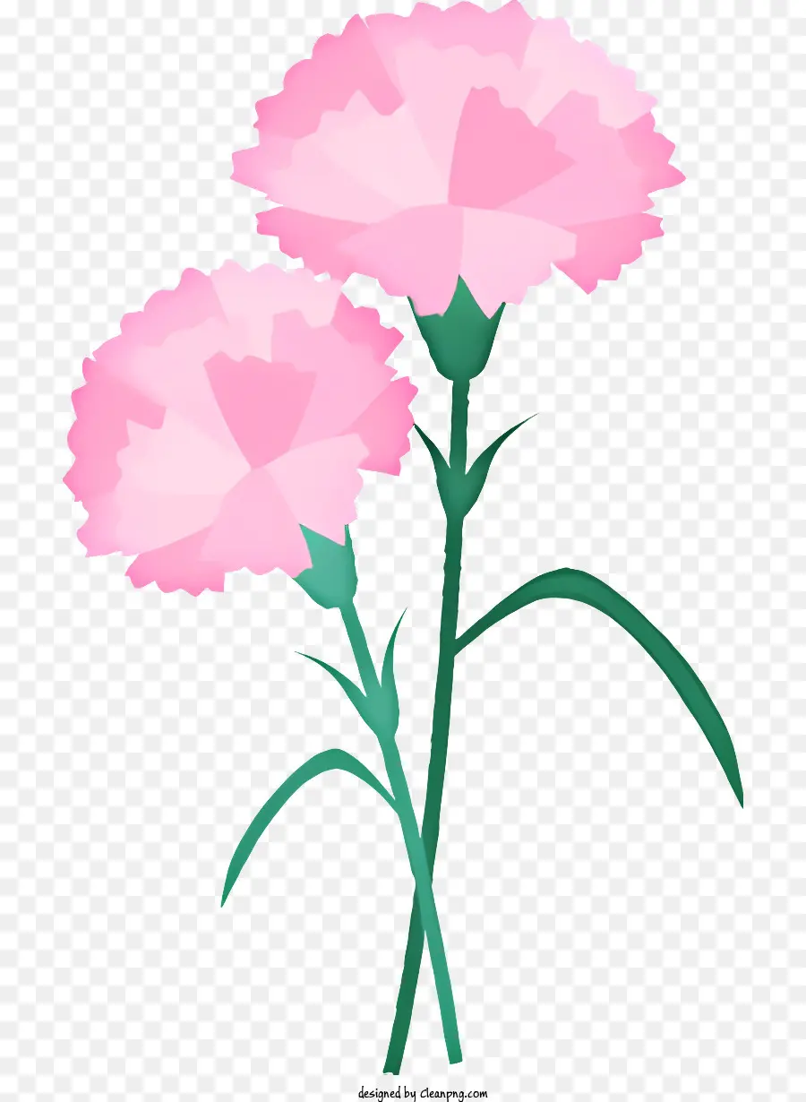 розовый цветок，Зеленые стебли PNG