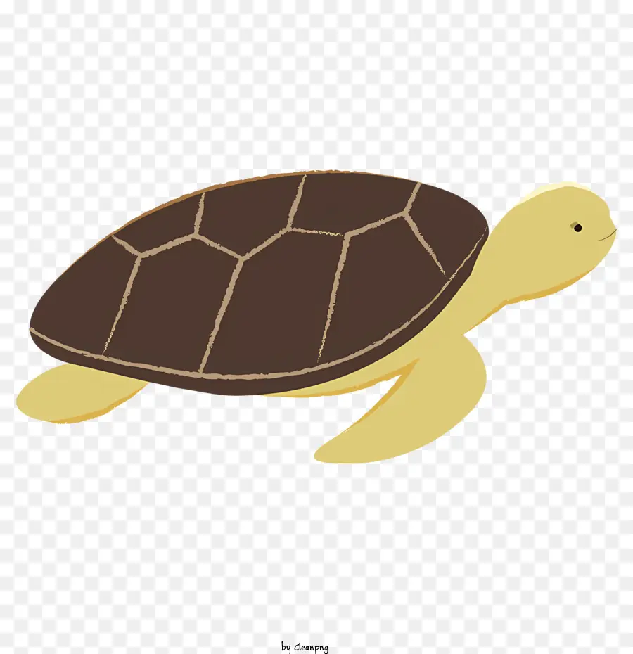 коричневая черепаха，черепаха рисунок PNG