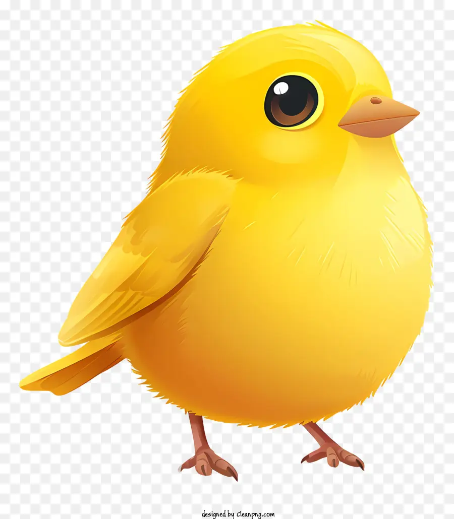 день птиц，желтая птица PNG