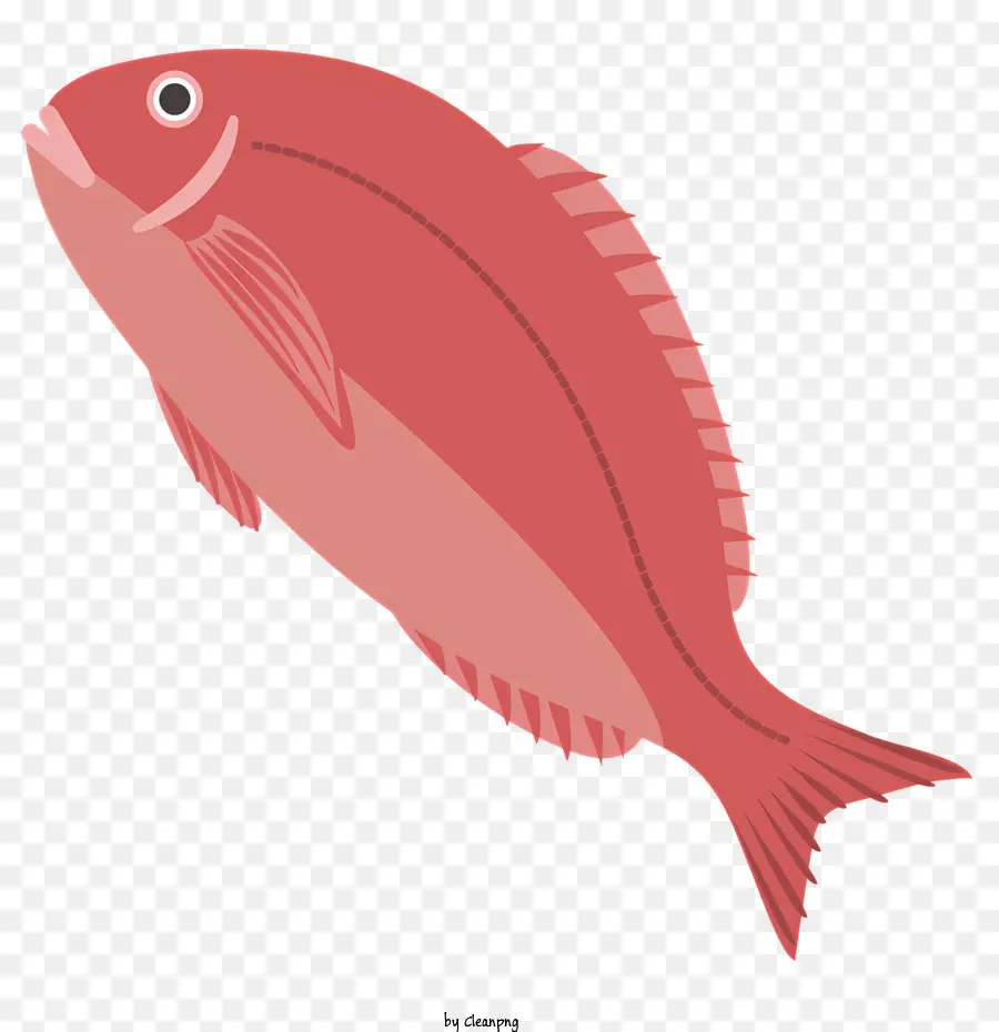 красная рыба，плавающей рыбы PNG
