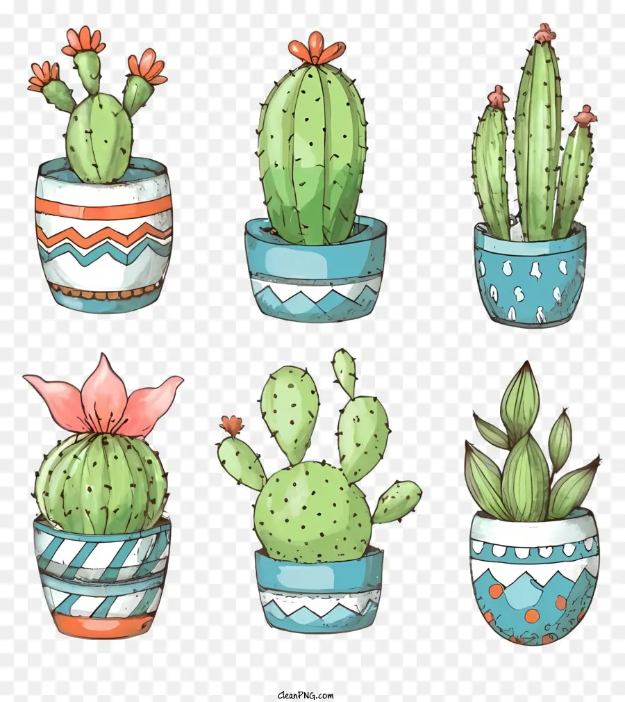 мультфильм，Cacti PNG