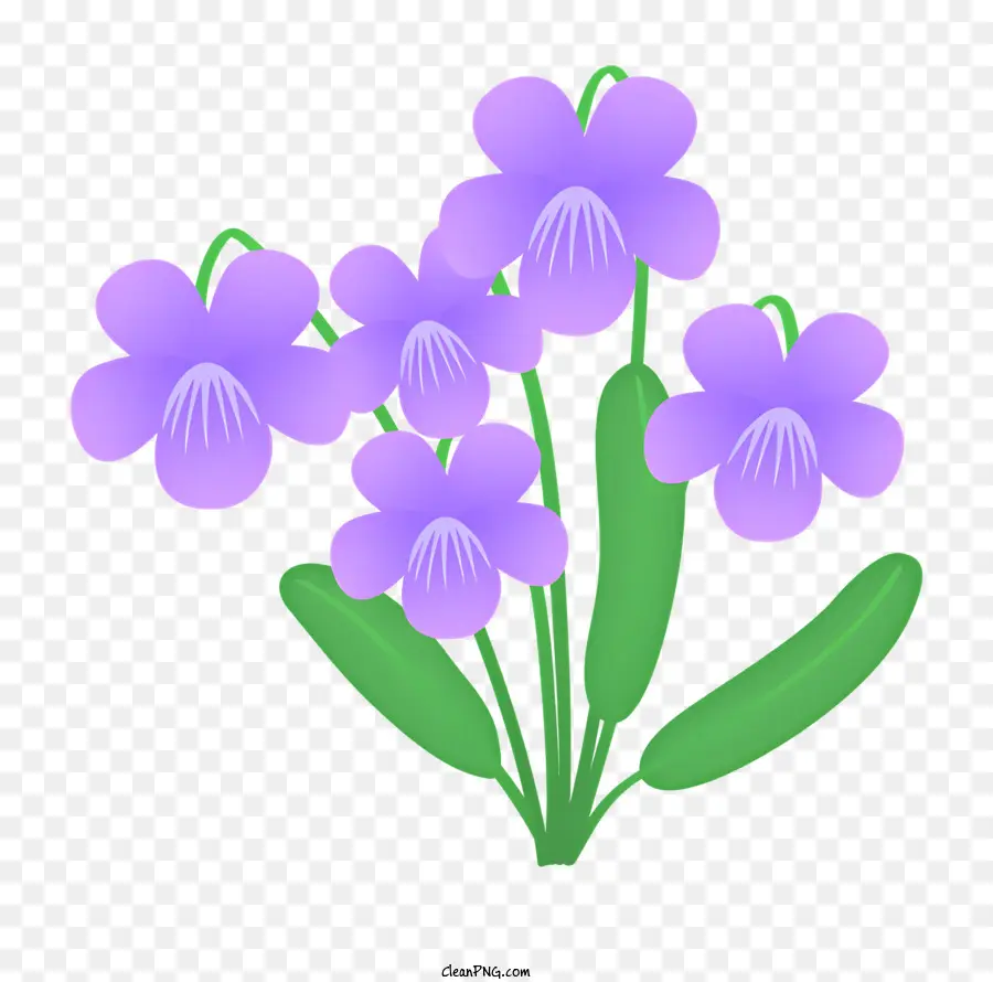 фиолетовые цветы，цветущие цветы PNG