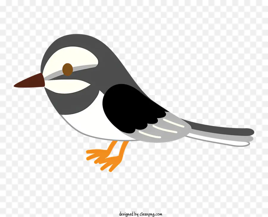 мультфильм птица，длинный клюв PNG