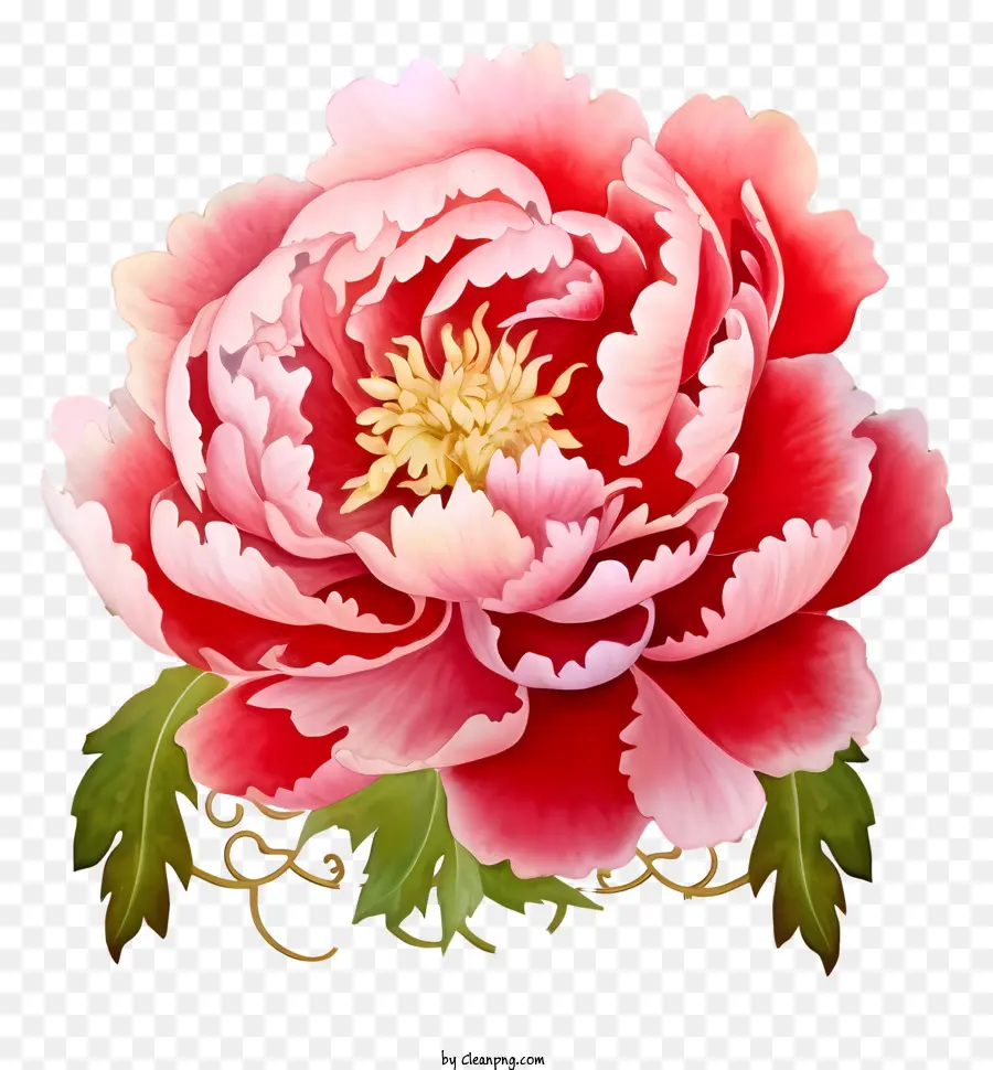 акварельный китайский Новый год Пеон，Розовый пион цветок PNG