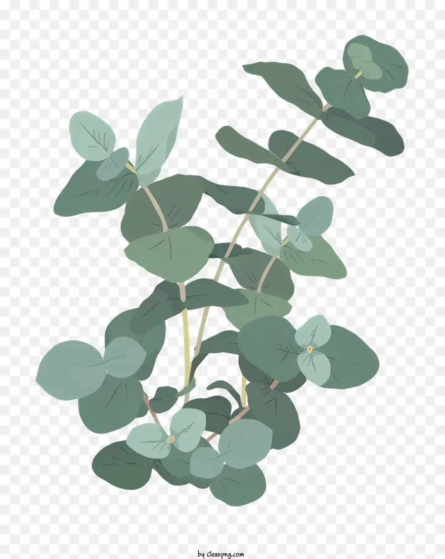 зеленое растение，листья PNG