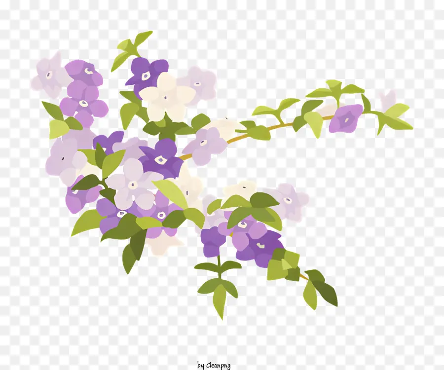 букет，фиолетовые цветы PNG