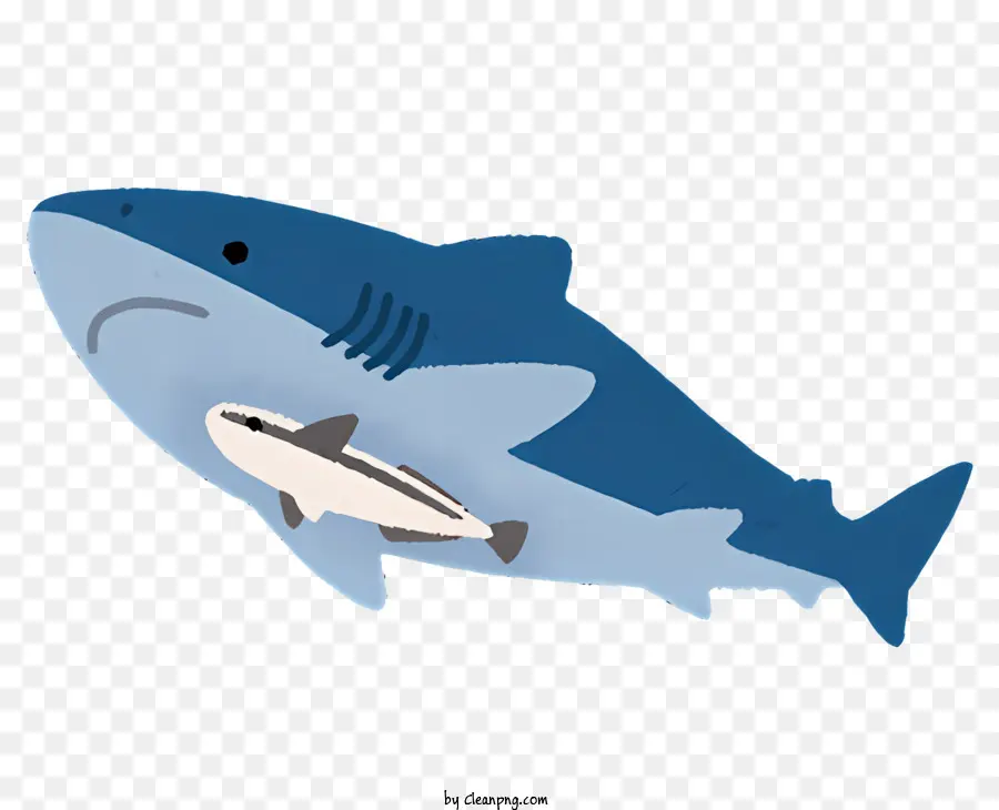природа，мультфильм акула PNG
