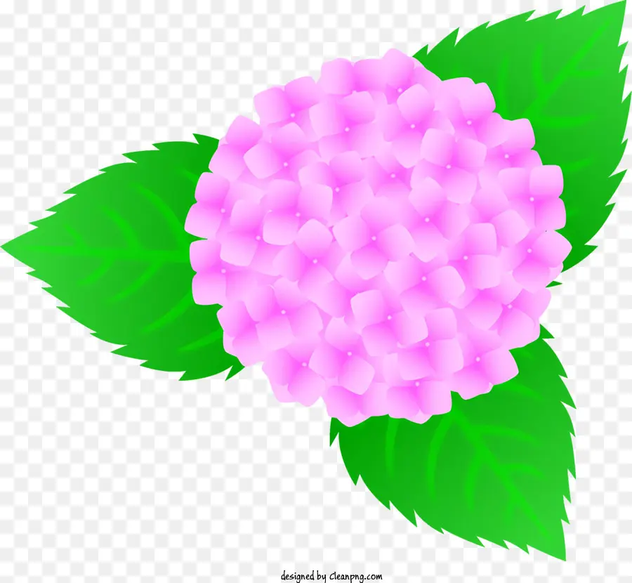 розовый цветок，зеленые листья PNG