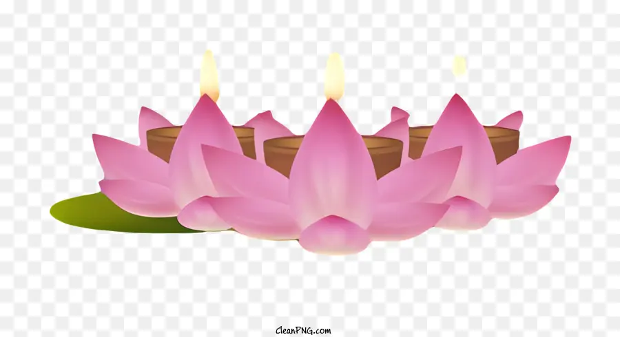 Бодхи День，Розовые цветы лотоса PNG