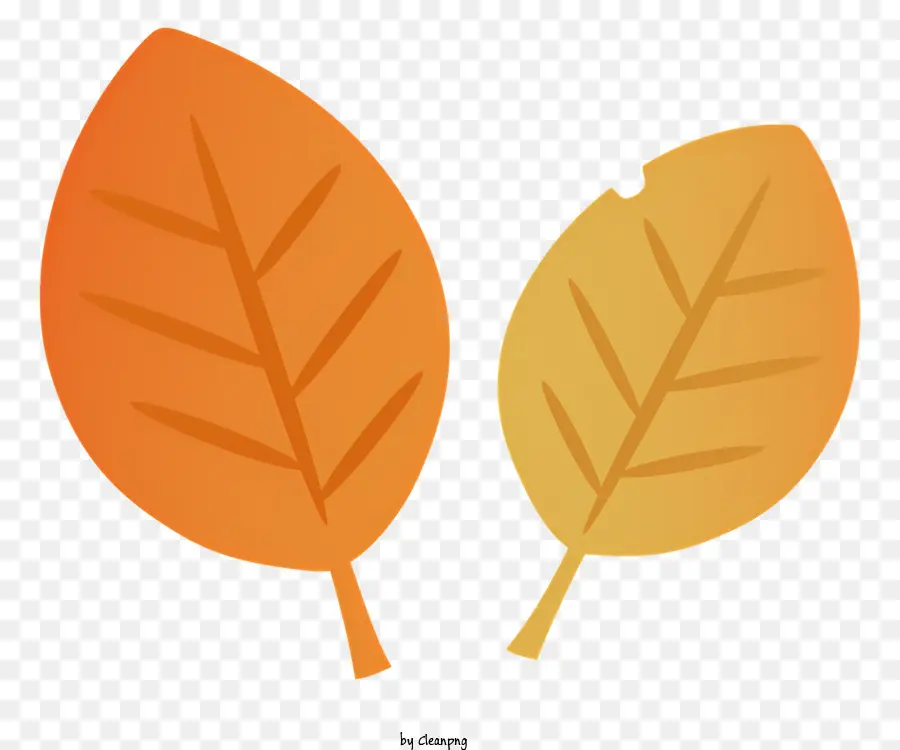 оранжевые листья，скрученные листья PNG