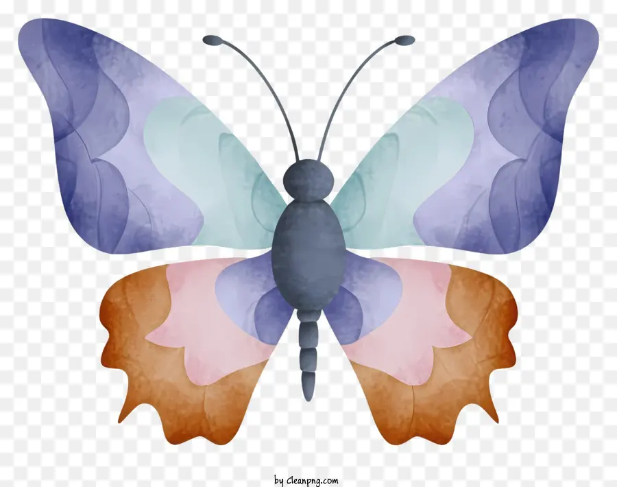 конверт，красочные бабочки PNG
