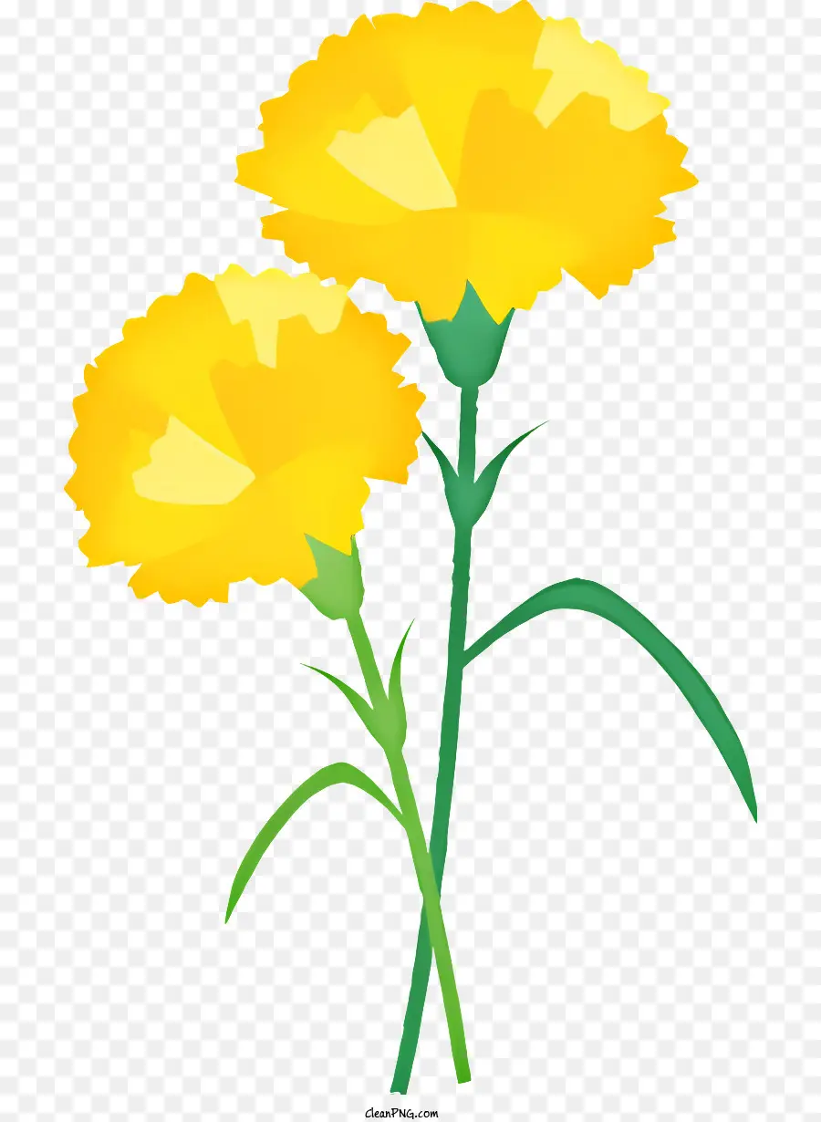 желтый цветок，простой цветок PNG
