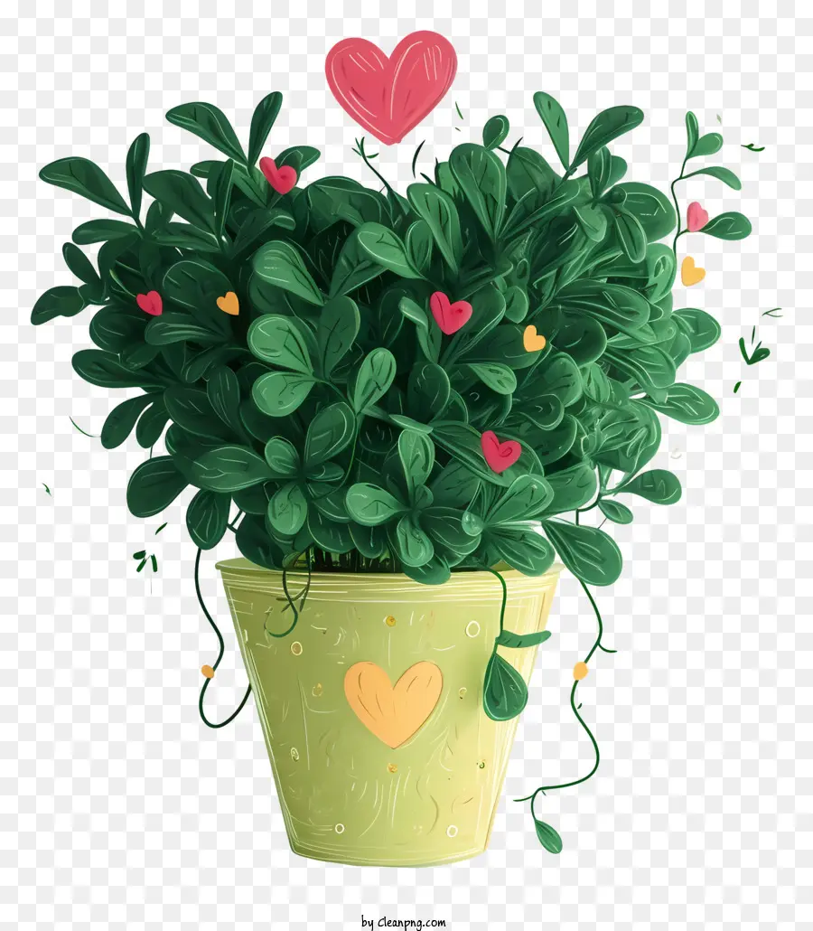 Love Plant，комнатные растения PNG