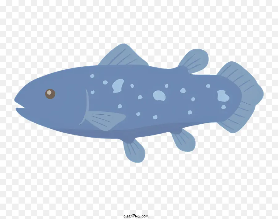 Рыбы，водных животных PNG