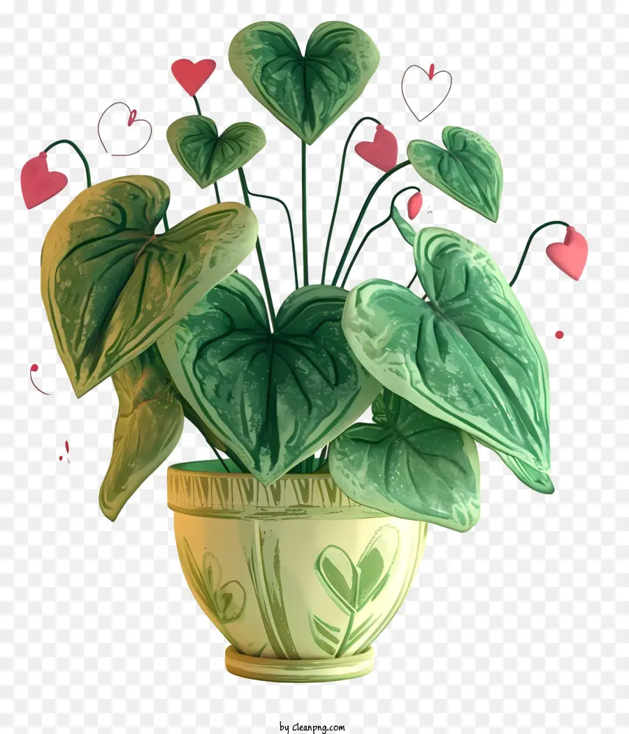 Love Plant，горшечные растения PNG