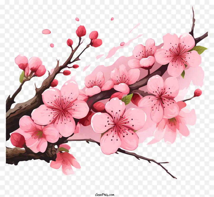 Сакура ветви и цветы，ветка дерева PNG