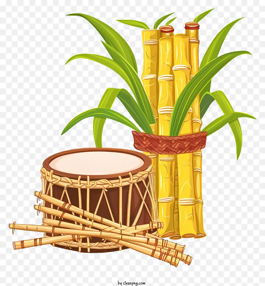 рохри，Sugarcane PNG