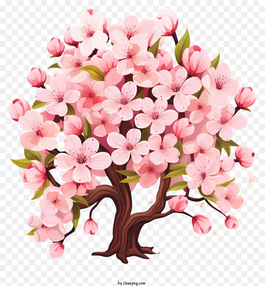 Плоская вишневая ветвь цветут，пышное и яркое дерево PNG