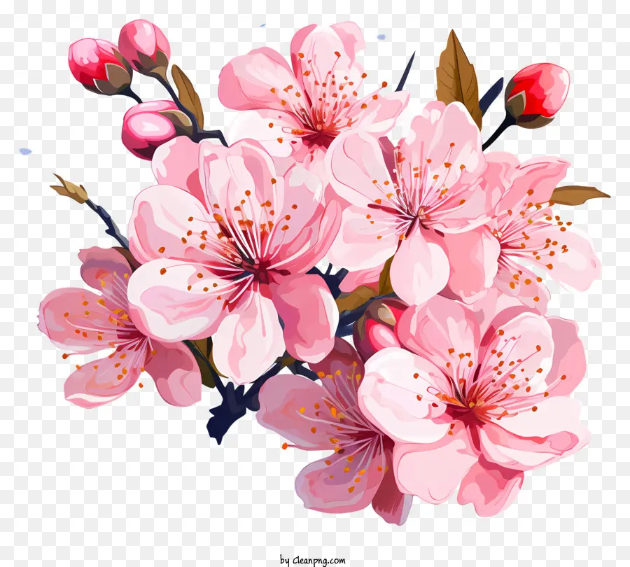разноцветные краски вишневые ветви цветение，розовые цветы PNG