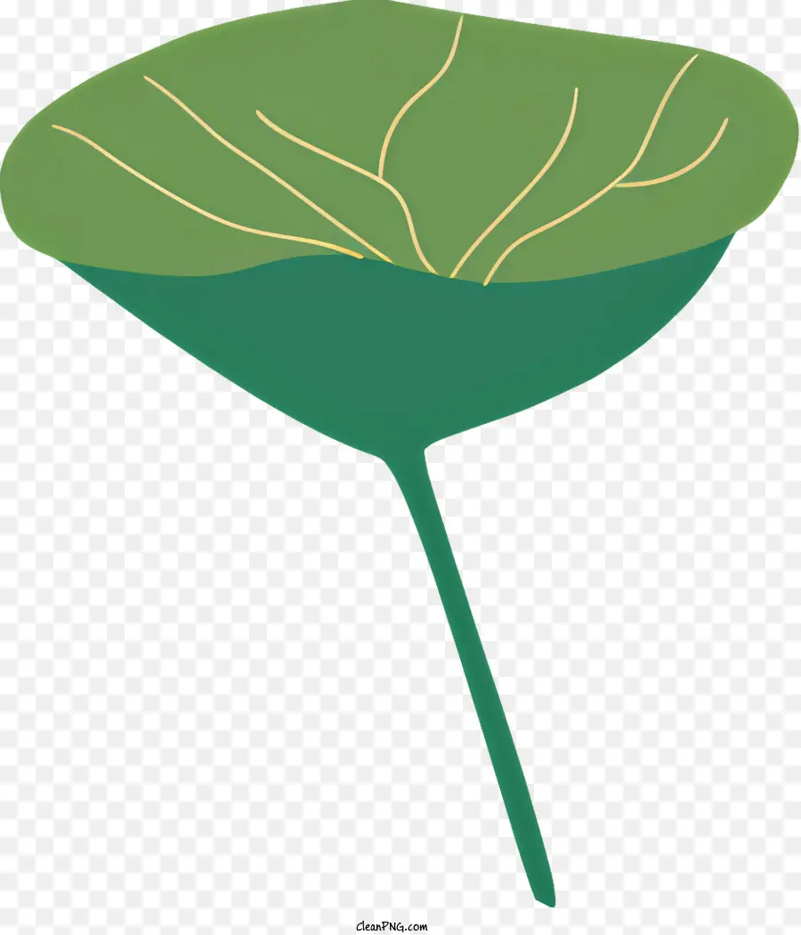 зеленый лист，центральный лист PNG