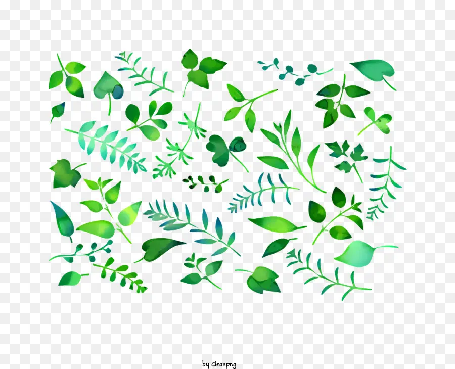 зеленые листья，акварельная живопись PNG