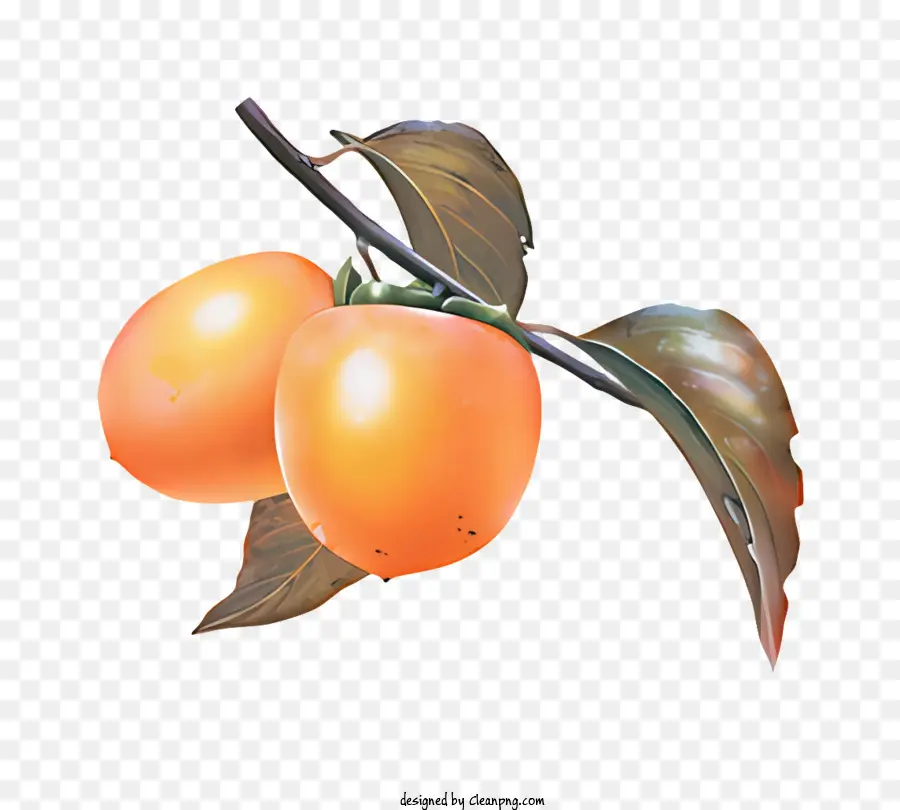 Фрукты，Оранжевые хурмы PNG
