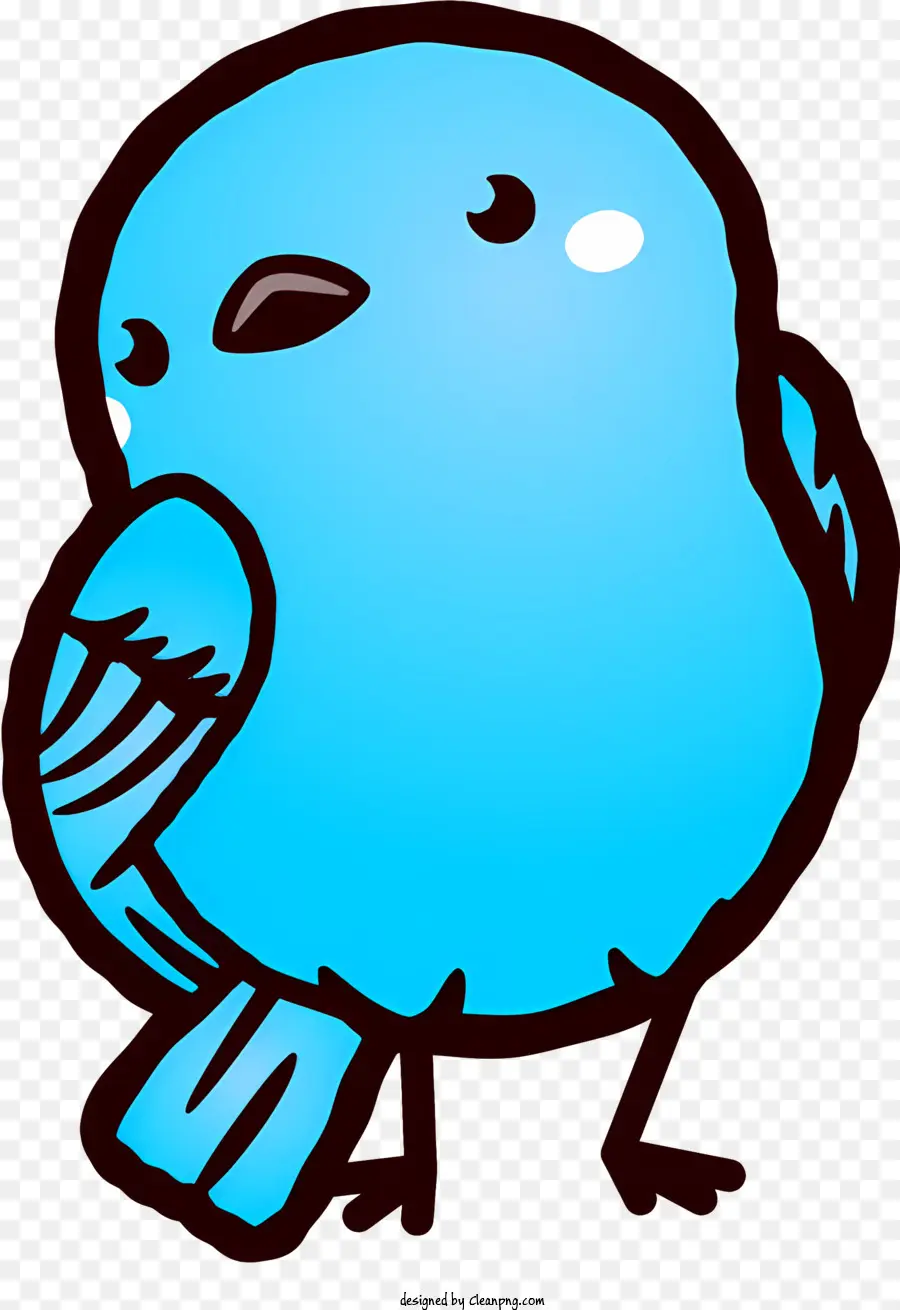 Синяя птица，птица с белым животом PNG