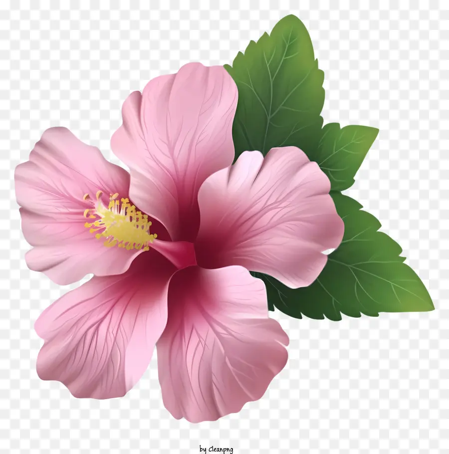 Роза Шарон Эмоджи，Розовый цветок гибискуса PNG
