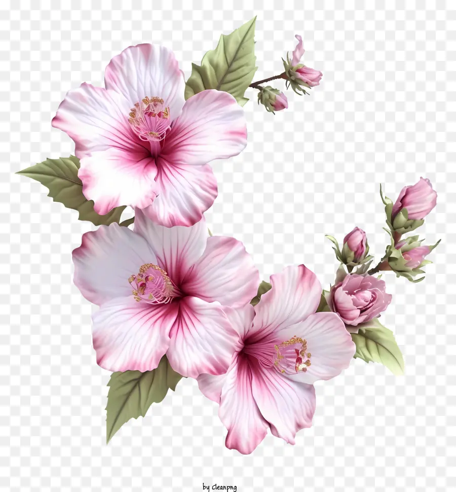 Реалистичная 3d Роза Шарон，Розовый цветок гибискуса PNG