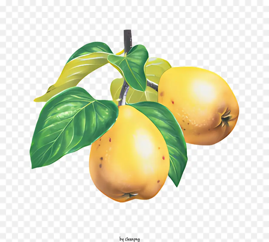 Фрукты，лимоны PNG